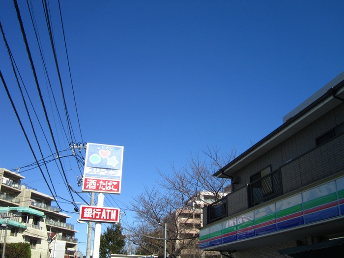 コンビニ　スリーエフ（コンビニ）まで73m