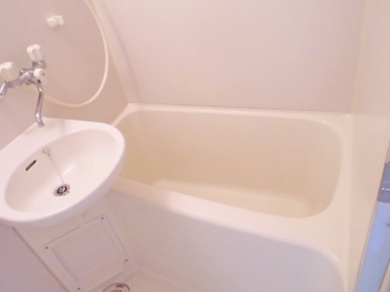 バス・シャワールーム　※別部屋の写真です