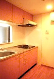 キッチン　同マンション内別部屋参考