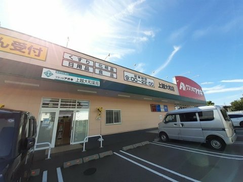ドラックストア　クスリのアオキ上越大和店（上越市大和２丁目）（ドラッグストア）まで1054m