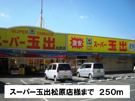 スーパー　スーパー玉出松原店様（スーパー）まで250m