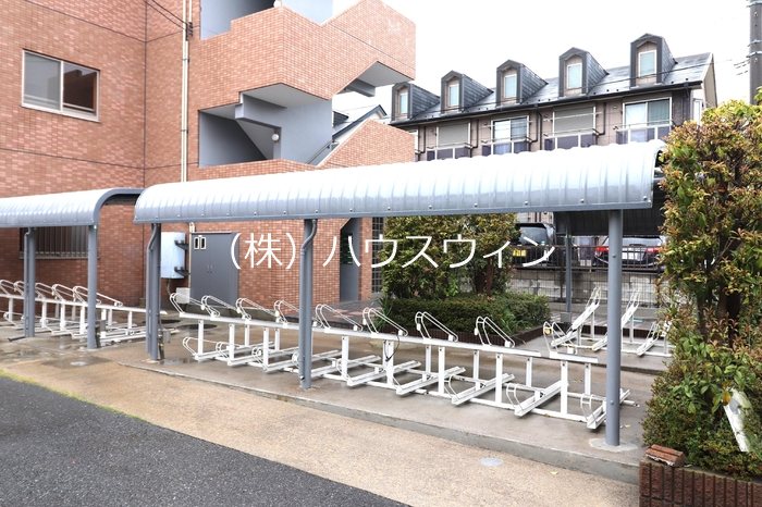 Freesiaのその他写真