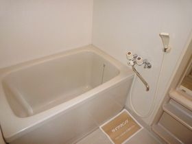 パティエール上本郷の風呂写真