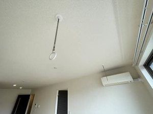 ルシャンのその他写真