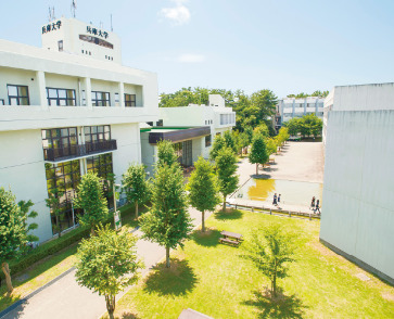 【加古川市平岡町新在家のマンションの大学・短大】