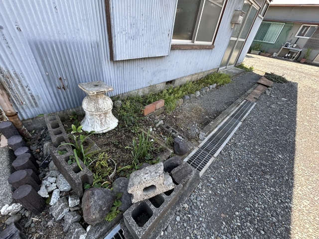 庭