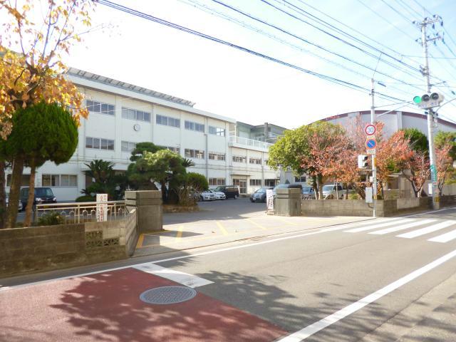 小学校　徳島市立八万小学校（小学校）まで812m