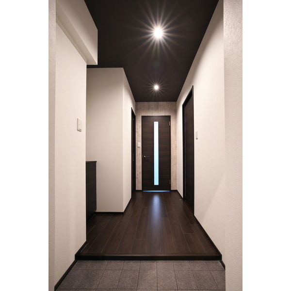 玄関　同物件、別部屋参考