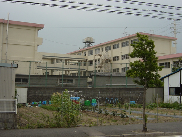 その他　広徳小学校（その他）まで240m