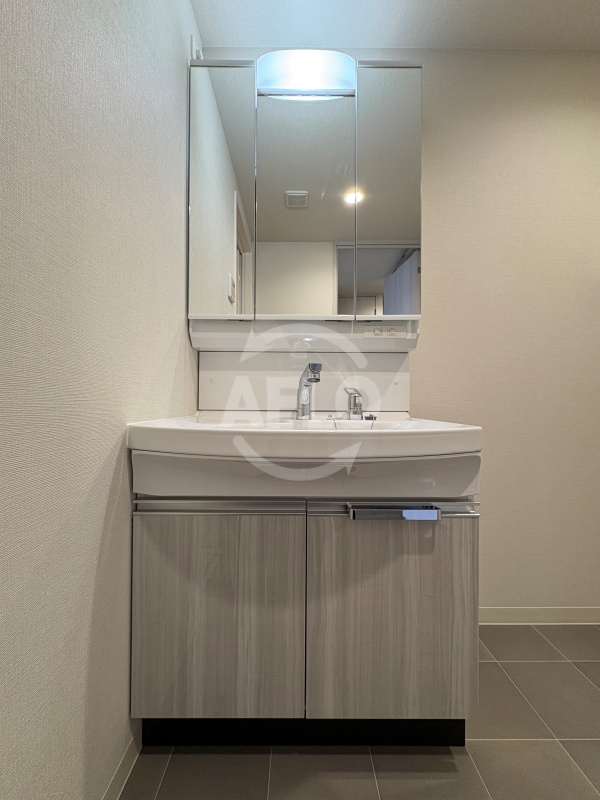 洗面設備　プレサンス天王寺ヴィヴァン　独立洗面台