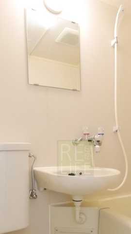 洗面設備　ローヤルガーデン※別部屋の参考写真です