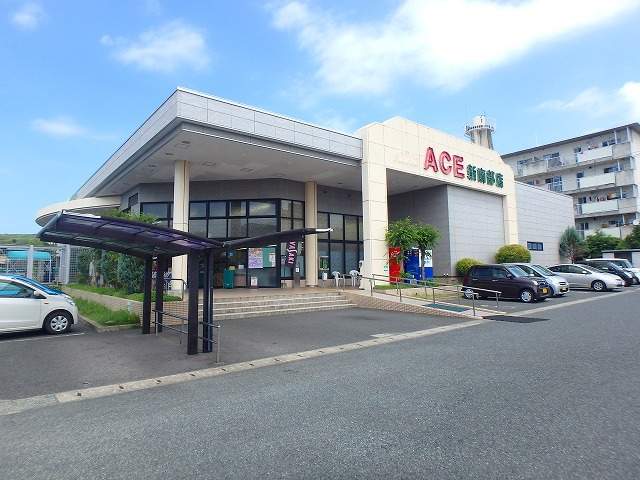 スーパー　イワサキ・エース新南部店（スーパー）まで100m