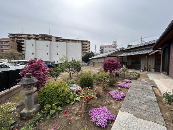 庭