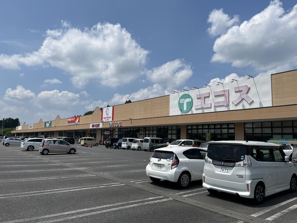 スーパー　TAIRAYA城里店（スーパー）まで1580m