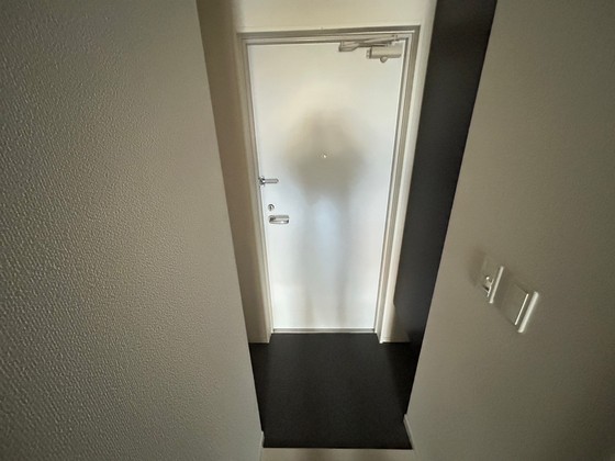 玄関　※別部屋の写真です