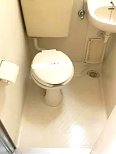 トイレ　※別部屋参考写真