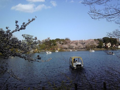 中学校　大森第六中学校（中学校）まで382m