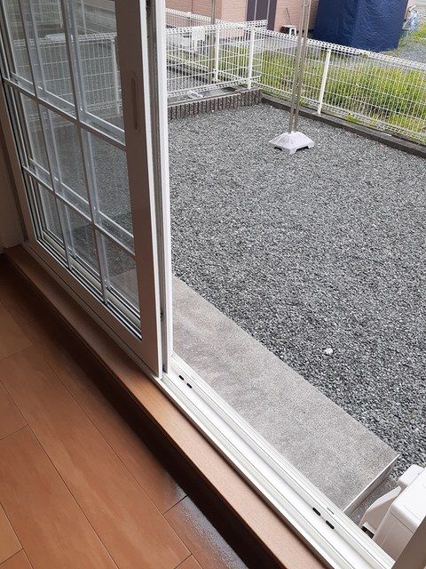 庭