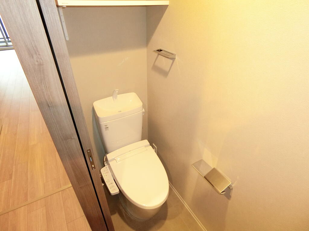 コンフォリア・リヴ東三国駅前ソルテラスのトイレ写真