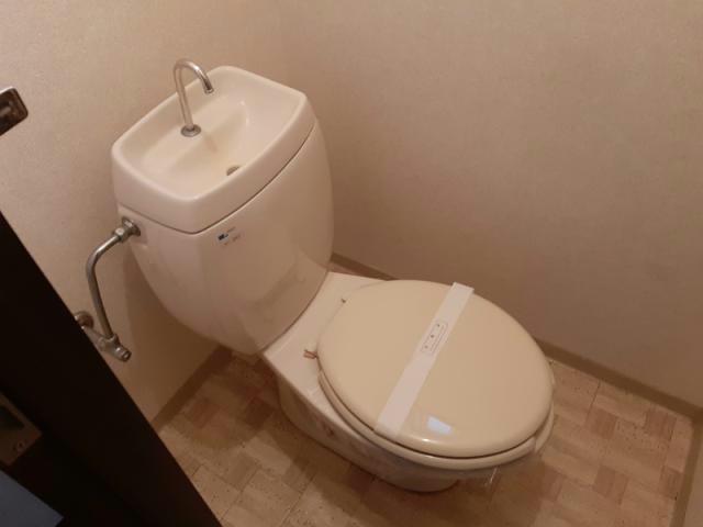 メゾン・ブランシュIのトイレ写真