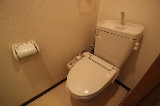 トイレ　※他号室の写真です。
