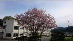 小学校　市川町立瀬加小学校（小学校）まで5563m