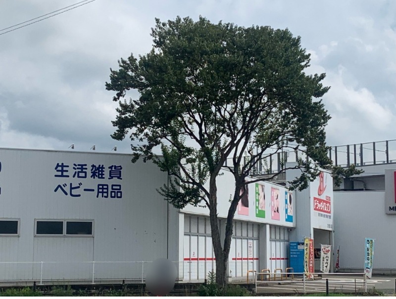 ドラックストア　ドラッグイレブン次郎丸店（ドラッグストア）まで1179m