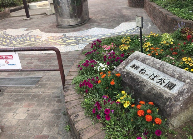 公園　蓮根ねっぱ公園（公園）まで2022m