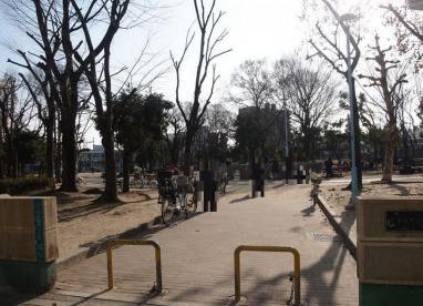 公園　新駅４号公園（公園）まで1000m