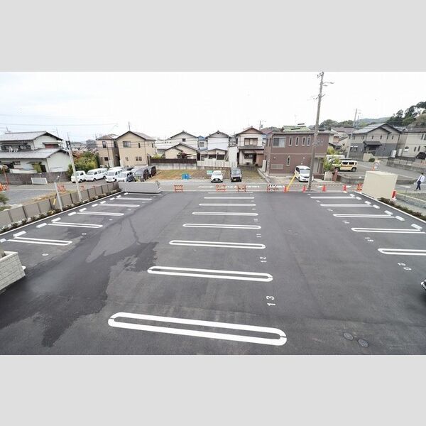 アレグリアのその他写真