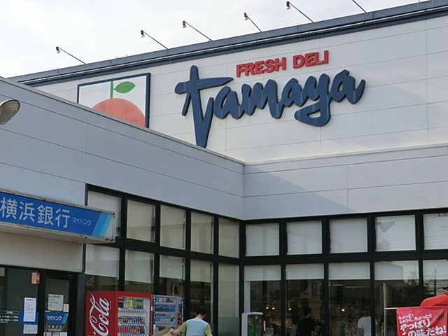 スーパー　たまや　大磯店（スーパー）まで1100m