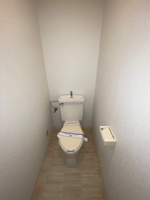 メゾンドールサンIIのトイレ写真