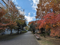 【レオパレスかなめ２の大学・短大】