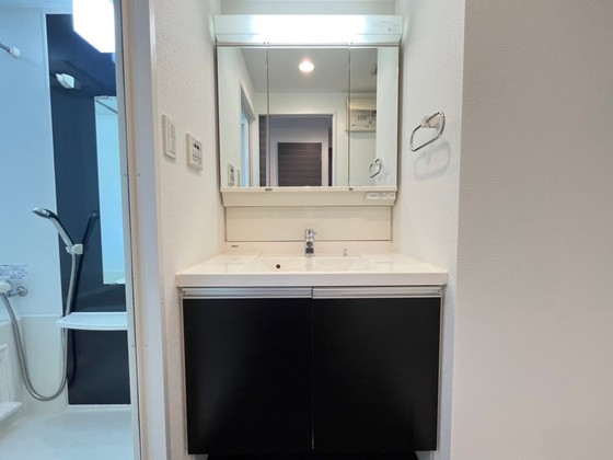 洗面設備　※別部屋の写真です