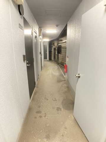 その他　メゾンリンクス２