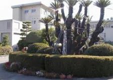 中学校　箱崎中学校（中学校）まで2300m