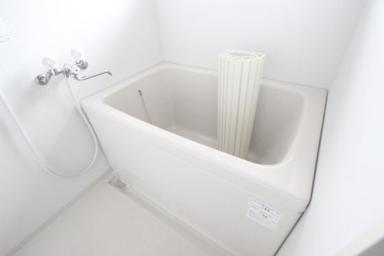 バス・シャワールーム　※別部屋の写真です