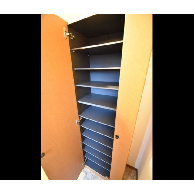 玄関　同物件・他号数写真となります。現況と異なる場合がございます。