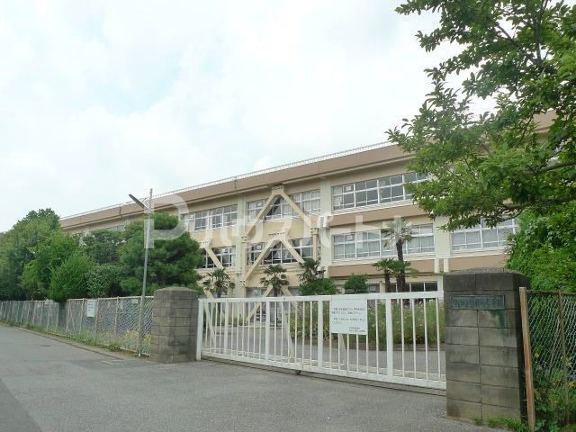 小学校　柏市立柏第七小学校（小学校）まで350m