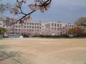 小学校　名古屋市立猪高小学校（小学校）まで511m