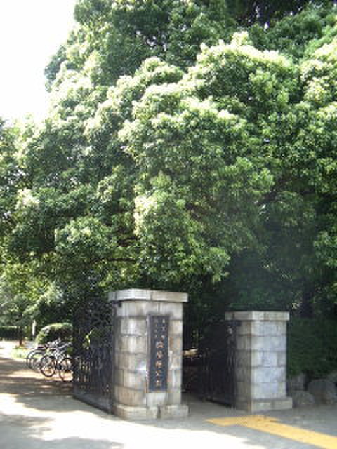 公園　駒場野公園（公園）まで500m
