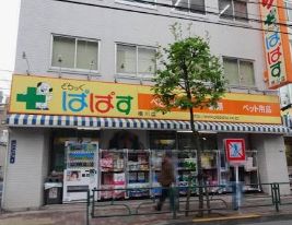ドラックストア　どらっぐぱぱす横川店（ドラッグストア）まで274m