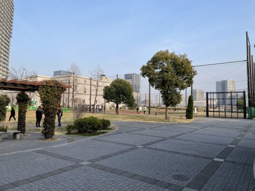 公園　晴海臨海公園（公園）まで3m