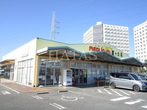 スーパー　メグリアミニ　星ヶ丘店（スーパー）まで2410m