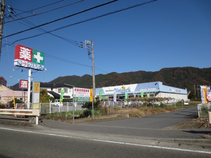 ドラックストア　ウェルパーク（ドラッグストア）まで425m