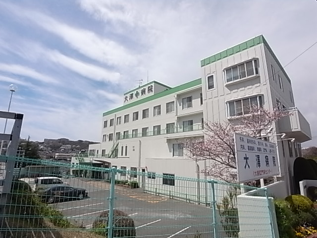 病院　大澤病院（病院）まで536m
