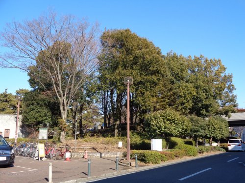 公園　相模大野中央公園（公園）まで1072m