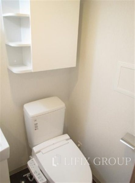 ラフィスタ川崎IIIのトイレ写真