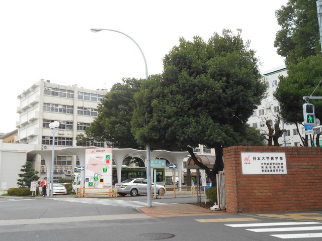 病院　日本大学医学部附属板橋病院（病院）まで450m