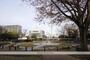 公園　天沼弁天池公園（公園）まで245m